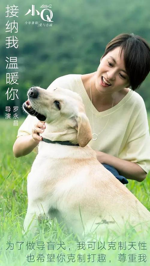 银行存款证明可以开假的吗